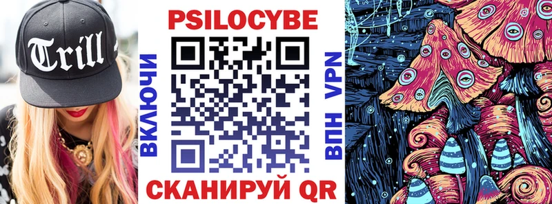 купить наркоту  Сурск  Псилоцибиновые грибы Psilocybine cubensis 